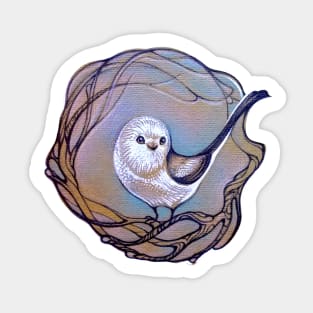 Long Tailed Tit, little cute songbird Sticker